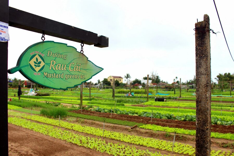 Hoi An Bicycle Tour 1 Day Tra Que Village